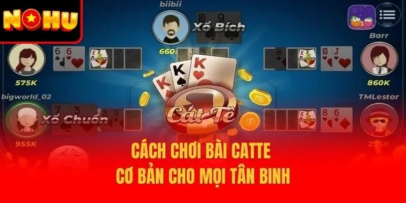 Cách chơi bài catte cơ bản cho mọi tân binh