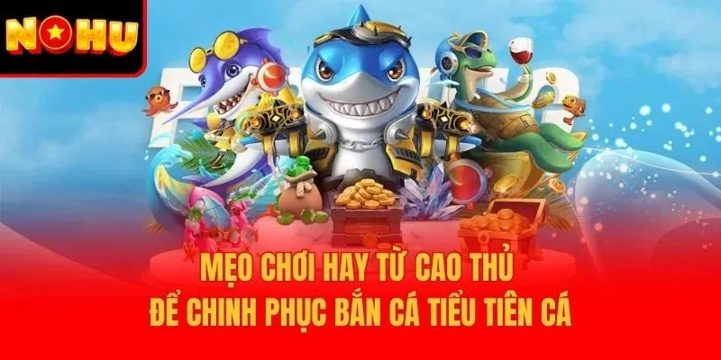 Mẹo chơi hay từ cao thủ để chinh phục bắn cá tiểu tiên cá